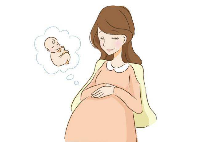 期待顺利诞生的五个多月，您能顺利怀孕吗？